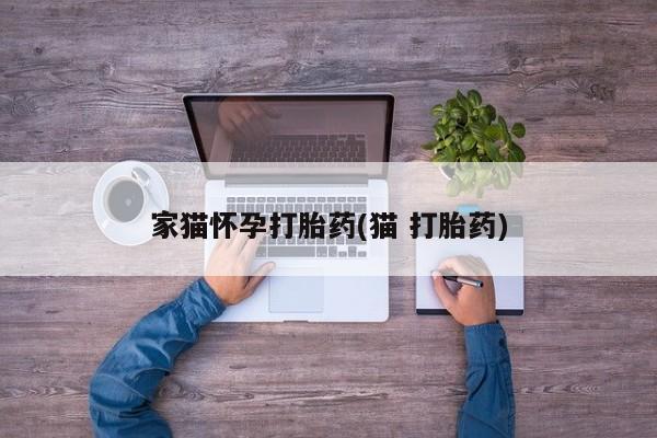 打胎药全国包邮购买联系方式微信家猫怀孕打胎药(猫 打胎药)